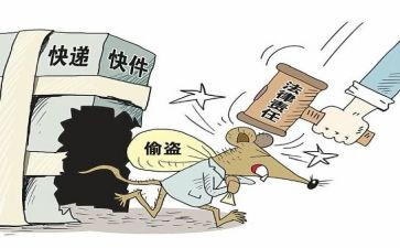 偷来的孩子读书心得模板6篇