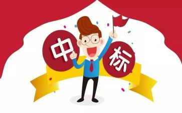 投标年终工作总结精选6篇