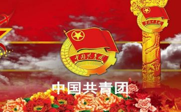 2023年团干部述职报告优质6篇