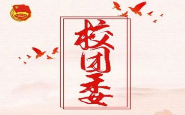 学校团委工作总结报告6篇