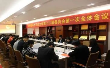 团委会申请书范文6篇