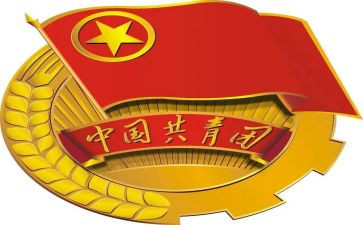 团组织工作汇报范文5篇