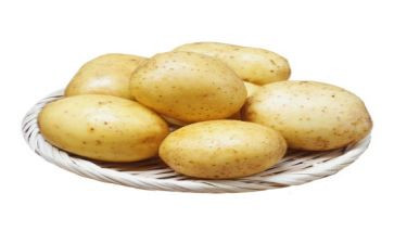 土豆计》读后感7篇