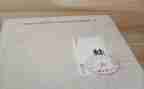 《蛙》读后感1000字优秀7篇