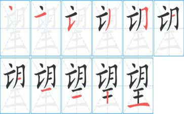 回望的作文600字6篇