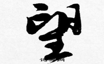 以望为主题的演讲稿精选6篇
