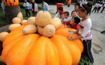 万圣节创意活动方案5篇