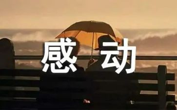 感动中国人物张桂梅先进事迹5篇