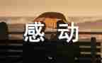最感动的事作文800字参考6篇