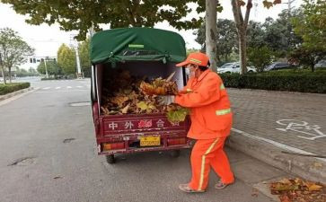 局创卫工作计划优秀6篇