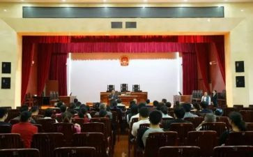 委派会计工作总结8篇