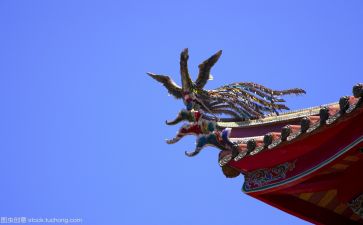 浙里文化作文模板8篇