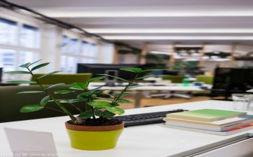 文员下年度工作计划6篇