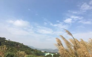 我的一天作文600字8篇