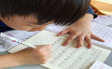 我就这样作文400字8篇