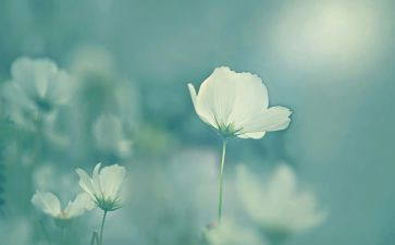 在我心中你最美作文推荐8篇