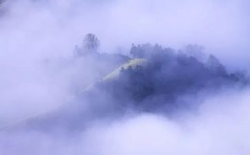 书虫《雾》读后感7篇