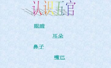 五官科2024年度总结5篇