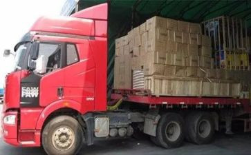 物流毕业生自我鉴定推荐8篇