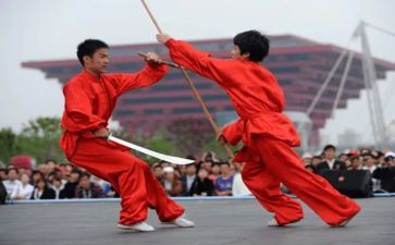 武术活动总结6篇