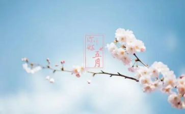 五月一演讲稿最新7篇