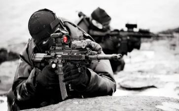 2024武装押运年终总结7篇