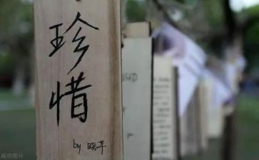 《珍惜粮食》演讲稿精选7篇