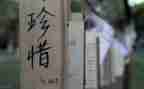 珍惜友情作文400字8篇