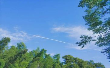 大班夏季安全教案6篇