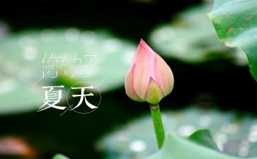 小班语言夏天来了教案5篇
