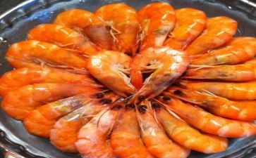 虾医生读后感7篇