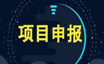 项目课个人总结5篇