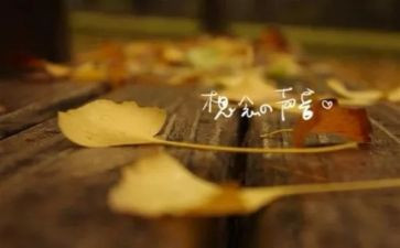 我想念你作文优质5篇