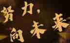 向未来演讲稿推荐8篇
