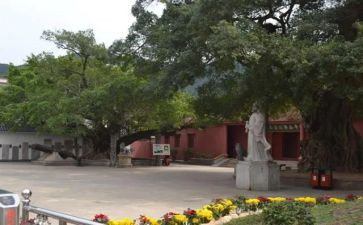 乡镇府个人述职报告5篇