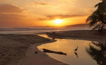 读《骆驼祥子》读后感800字模板5篇