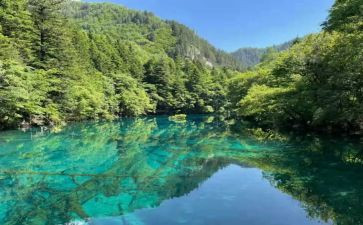 乌先生读后感优秀5篇