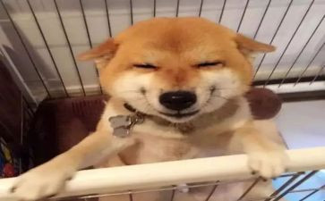 难忘的笑600字作文最新7篇