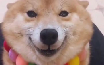 微笑力量的演讲稿6篇
