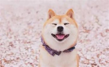 难忘的笑600字作文最新6篇