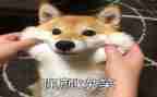 难忘的笑600字作文模板7篇