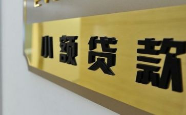 2024年小贷公司工作总结5篇