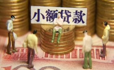 小额贷款合同8篇