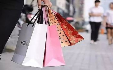 限制消费令申请书8篇