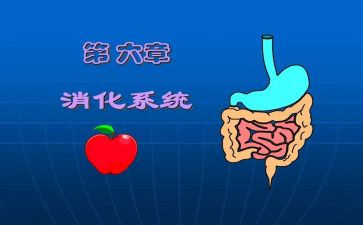 消化内科2024年工作总结8篇