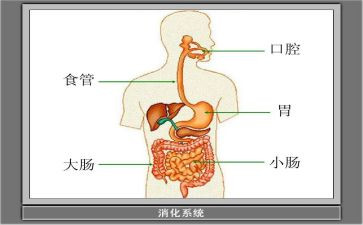 消化科护士述职报告6篇