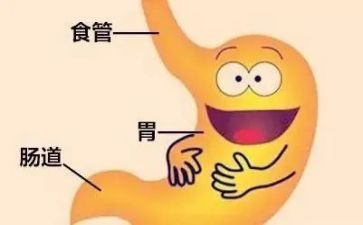 消化内科的自我鉴定模板6篇