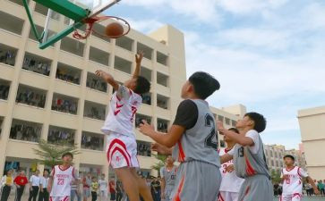 元旦学校活动方案8篇