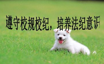 遵守校规校纪的演讲稿7篇