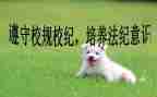 遵守校规校纪的演讲稿7篇